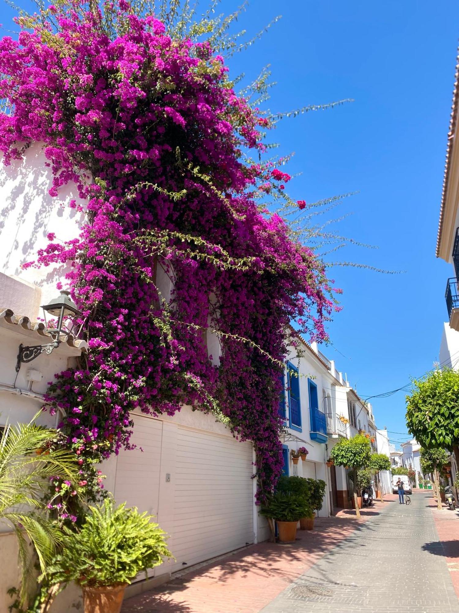 Apartamento Portada Estepona Exterior foto